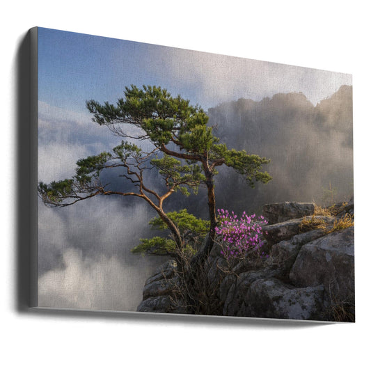 Wall art Dream dancer Canvas Print
