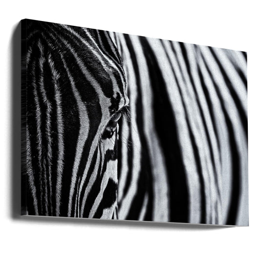 Wall art The look of nature