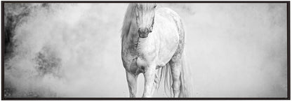 Wall art Icelandic pony