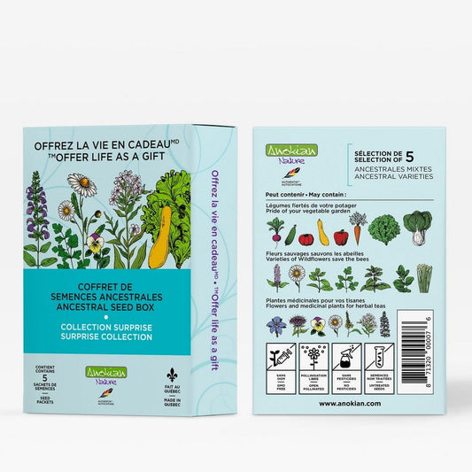 Coffret de semences surprise | Découvertes du jardin