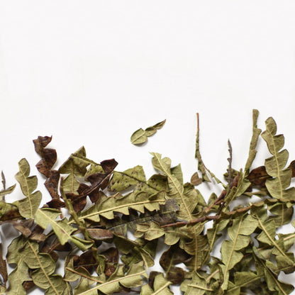Comptonie Voyageuse, feuille