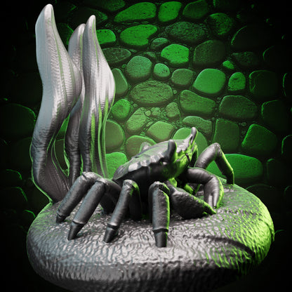 Crab Familiar