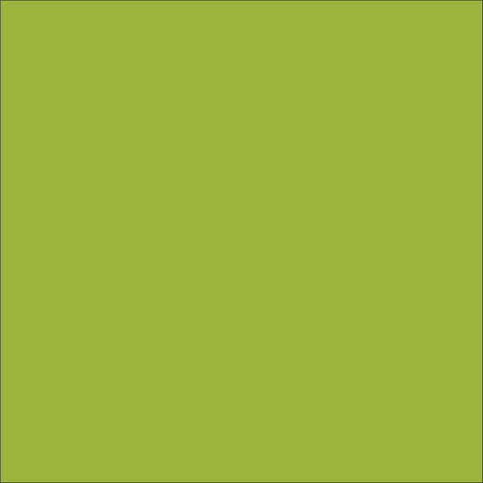 Craft Matte Lime HTV Vinyl 12" x 10 Yard Roll