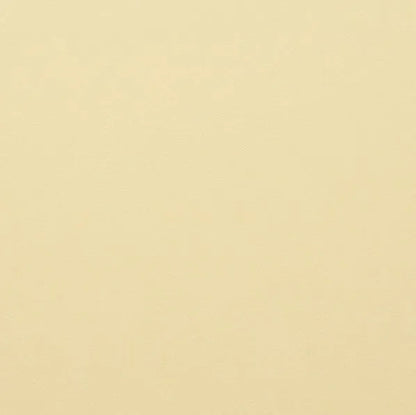 Clairefontaine - Maya Cardstock 120lb Paper - 20x28"