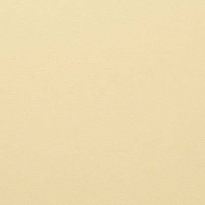 Clairefontaine - Maya Cardstock 120lb Paper - 8¼x11¾"