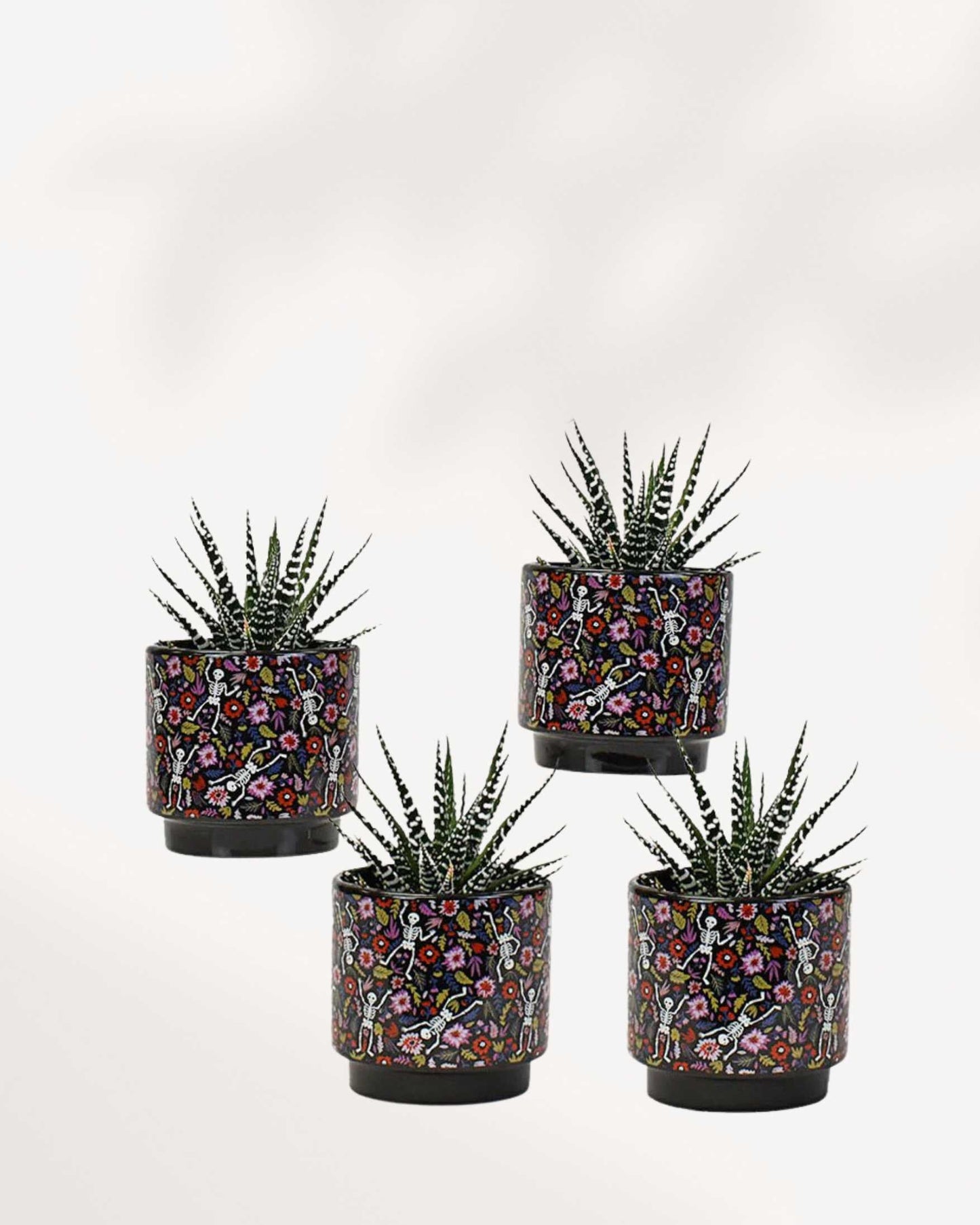 Day of the Dead Pot