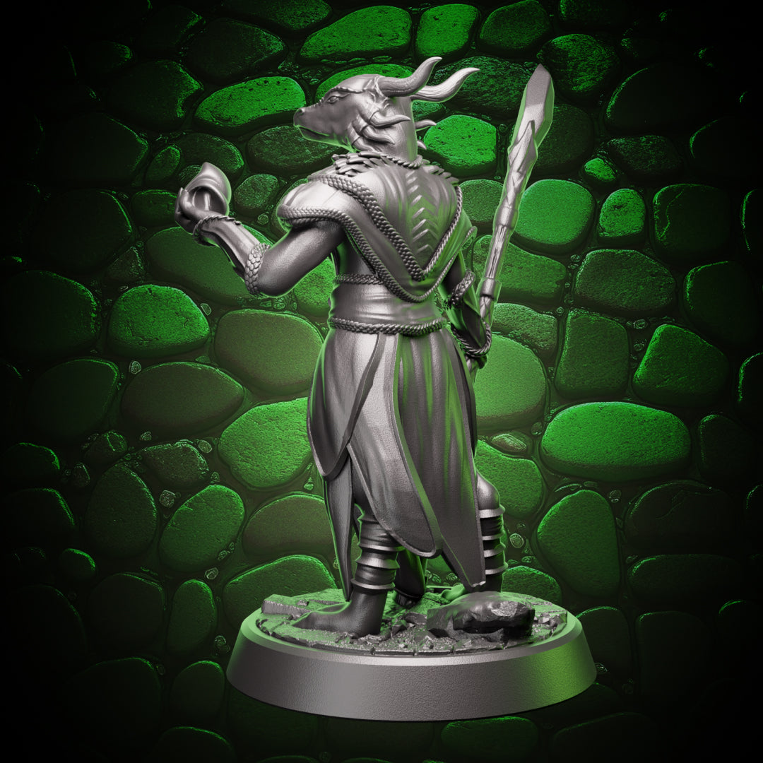 Dragonborn Sorceress | Staff & Cantrip | 5e