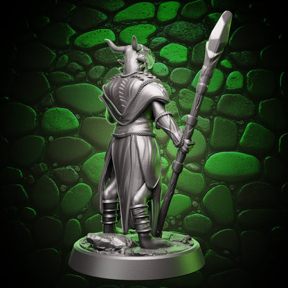 Dragonborn Sorceress | Staff & Cantrip | 5e