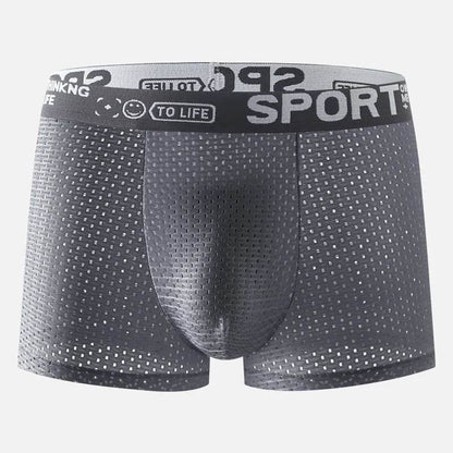 Men's Underwear Mid Waist Mesh Ice Silk Mesh SPORT Boxer Brief