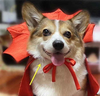 Halloween Dog & Cat Costume – Vampire King Cloak with Spooky Black Design