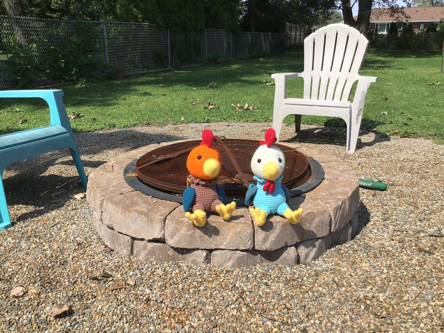 Rocky the Rooster