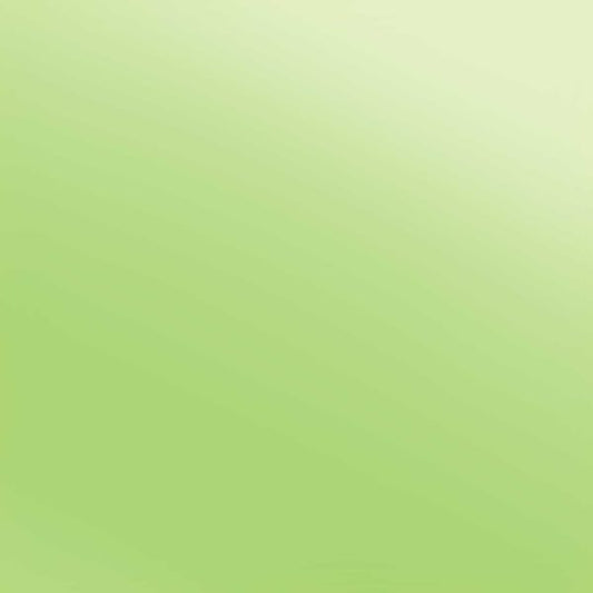 Siser Easyweed Lime Electric 15"