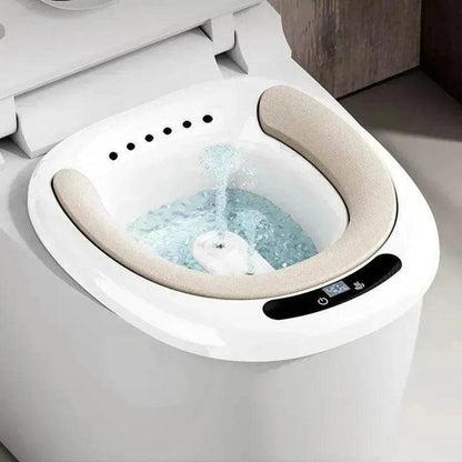Electric Toilet Bidet For Women