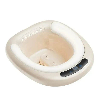 Electric Toilet Bidet For Women