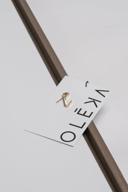 AMSTERDAM BLOOM, Oeuvre sur toile étirée