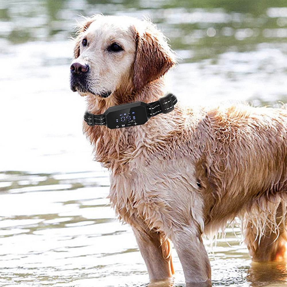Pet Wireless Electronic collar  GPS Dog fences