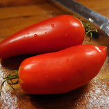 Federle Tomato