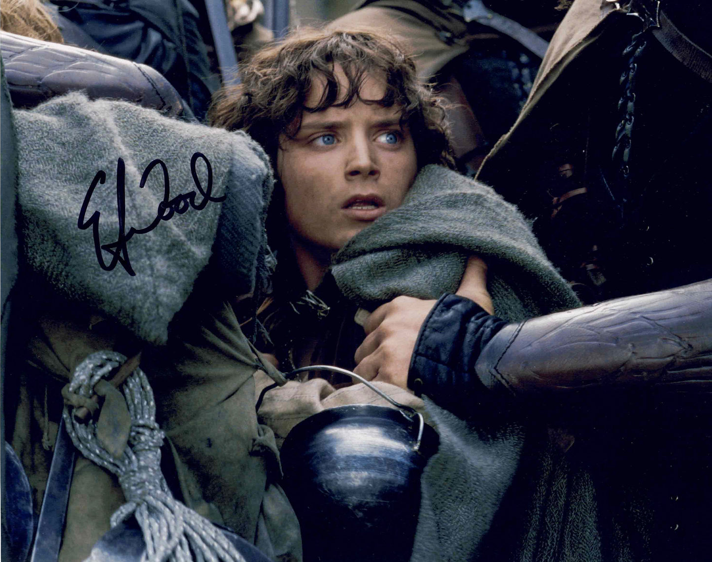 ELIJAH WOOD SIGNED LORD OF THE RINGS FRODO 8X10 PHOTO