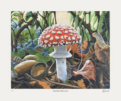 Amanita Muscaria - Art Print /77 by Ryan Lewis, Artist Proof