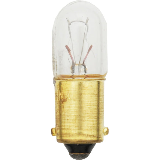 Ampoule miniature automobile basique 1893, à incandescence, 4,62 W, blanc cassé