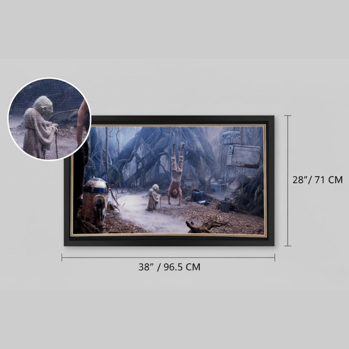 Star Wars R2-D2 & Yoda Dagobah Autographed Framed Display