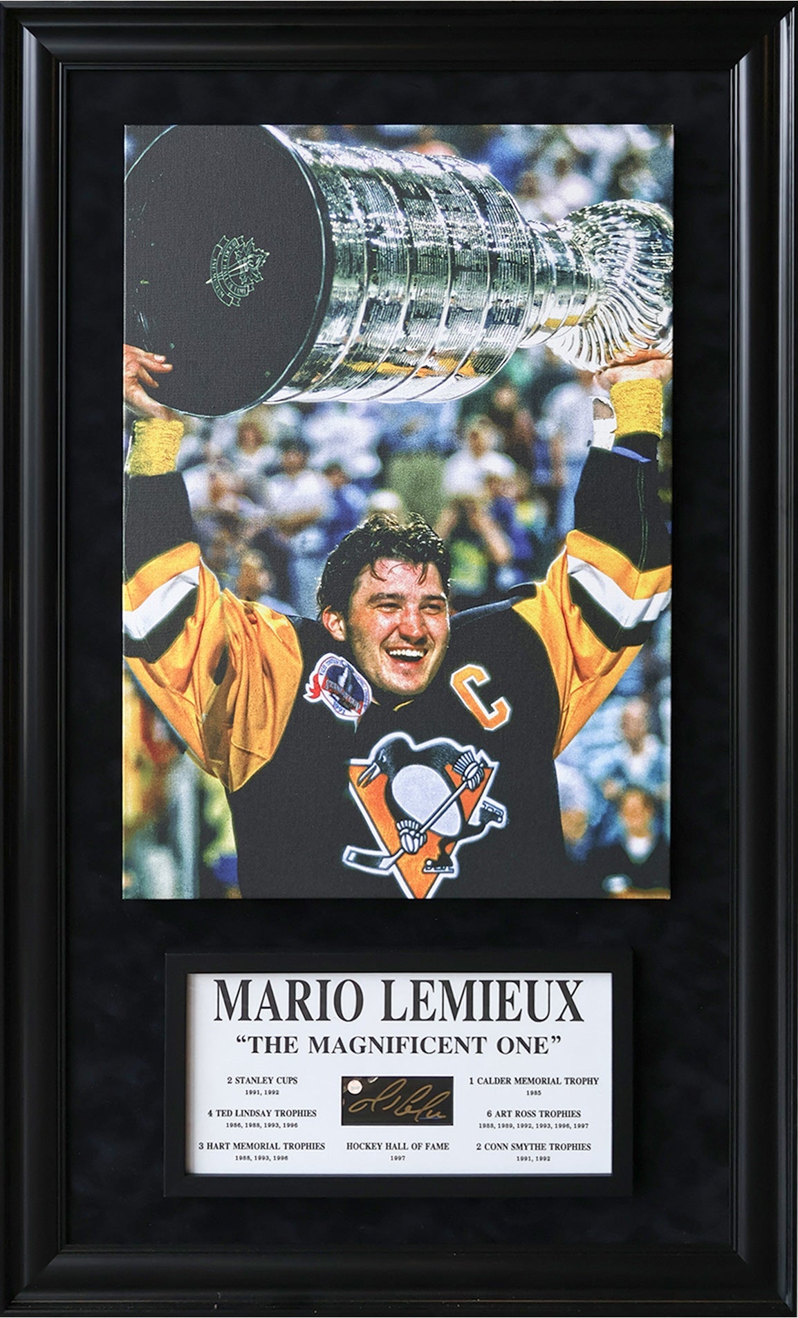Mario Lemieux Signature Plaque & Canvas (49.5x29.5)