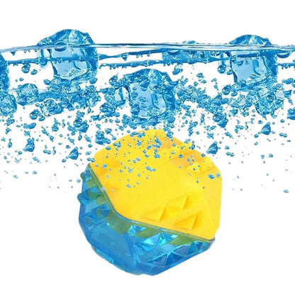 Summer Pet Cooling Toys Frozen Bone Toys That Can Be Filled With Water In Summer