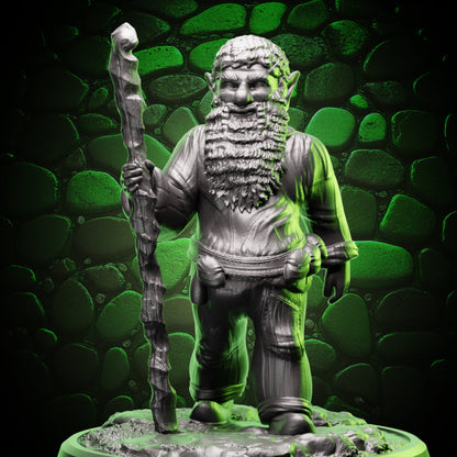 Gnome Druid | Staff  | 5e