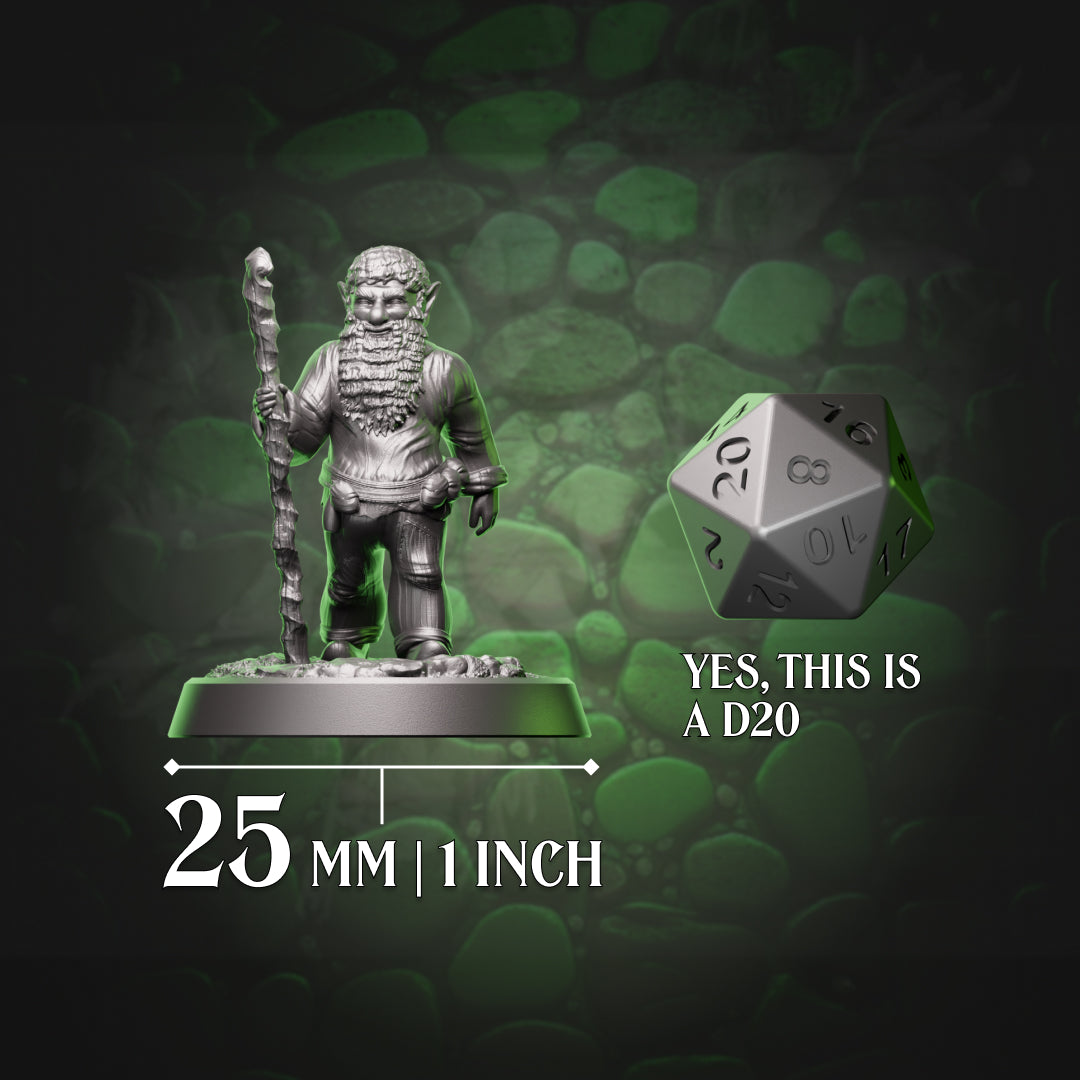 Gnome Druid | Staff  | 5e