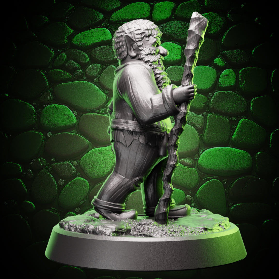 Gnome Druid | Staff  | 5e