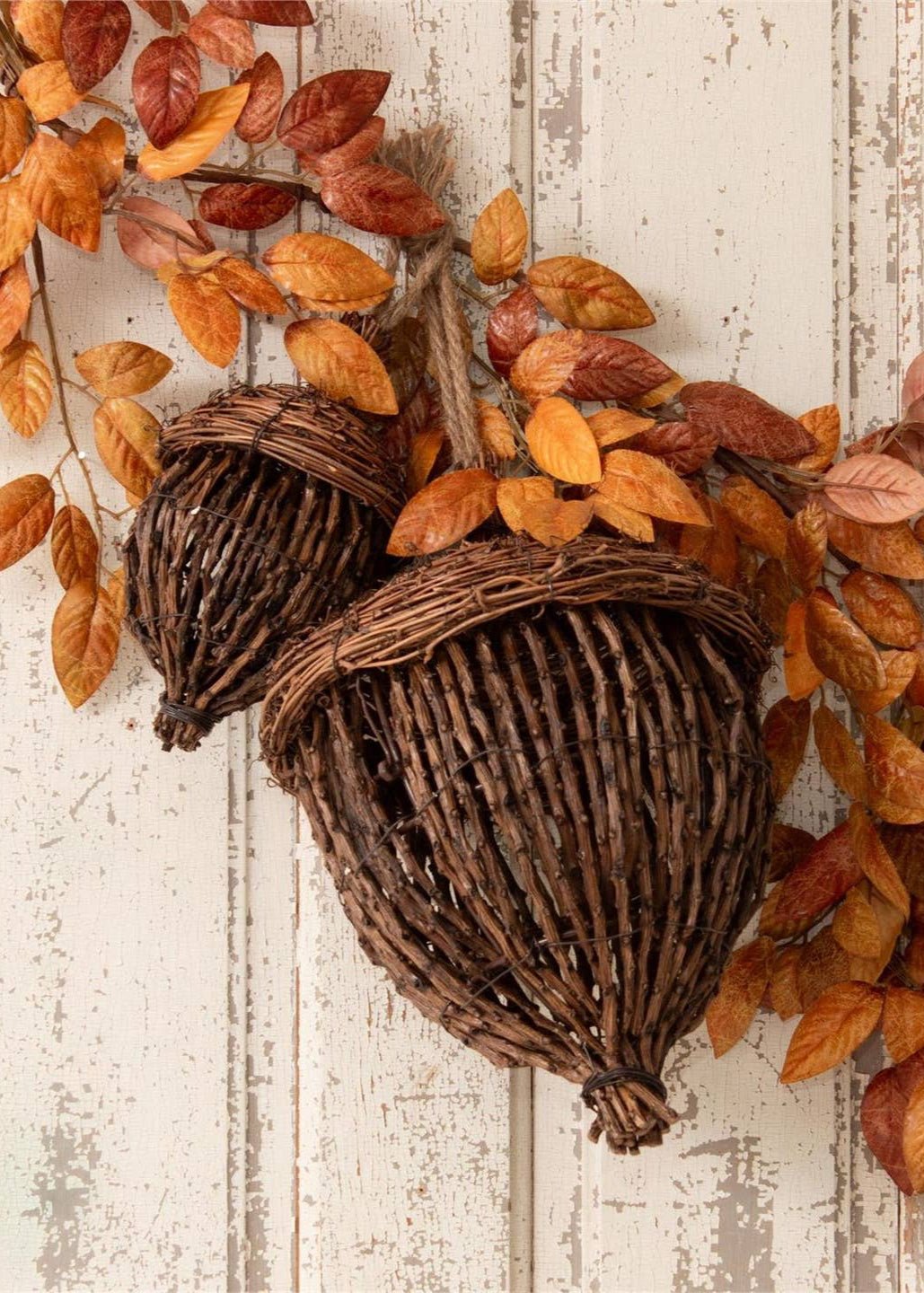 Glands de Chêne en Vannerie de Vigne, Lot de 2