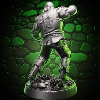 Human Monk | Stonefist | 5e