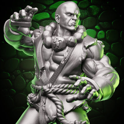 Human Monk | Stonefist | 5e