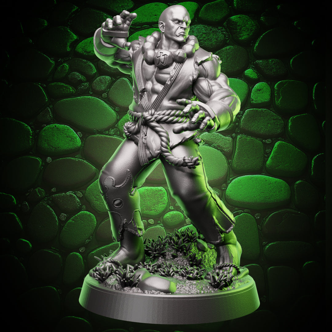 Human Monk | Stonefist | 5e