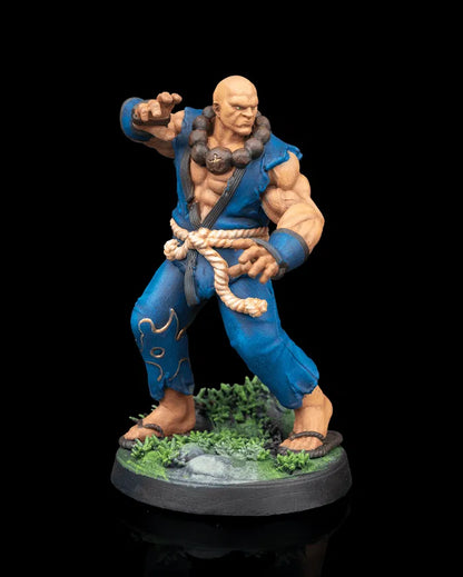 Human Monk | Stonefist | 5e