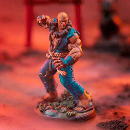 Human Monk | Stonefist | 5e
