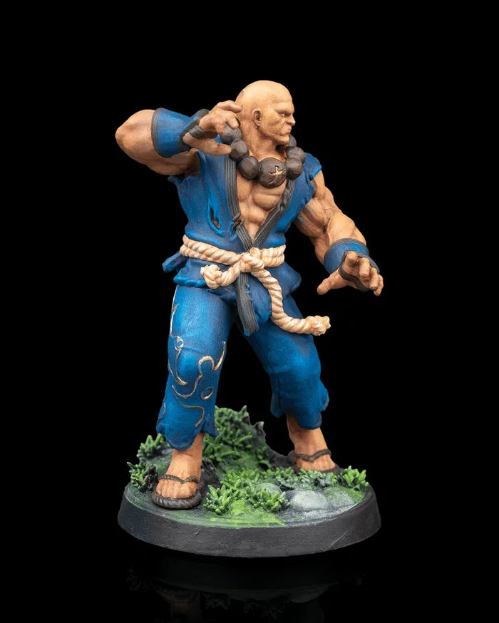 Human Monk | Stonefist | 5e
