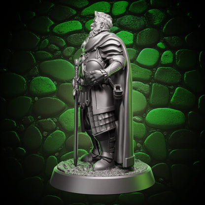 Human Paladin | Grizzled  | 5e