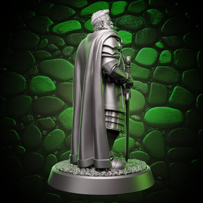 Human Paladin | Grizzled  | 5e