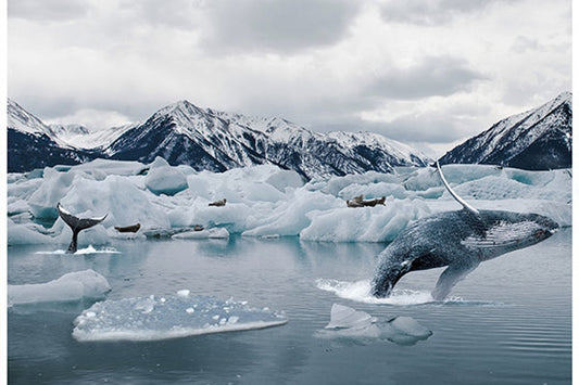 Hoffman Fabrics - Call of the Wild - Arctic Whale Panel #2