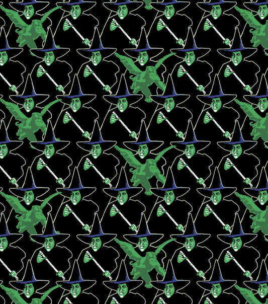 Wizards of Oz Wicked Witch