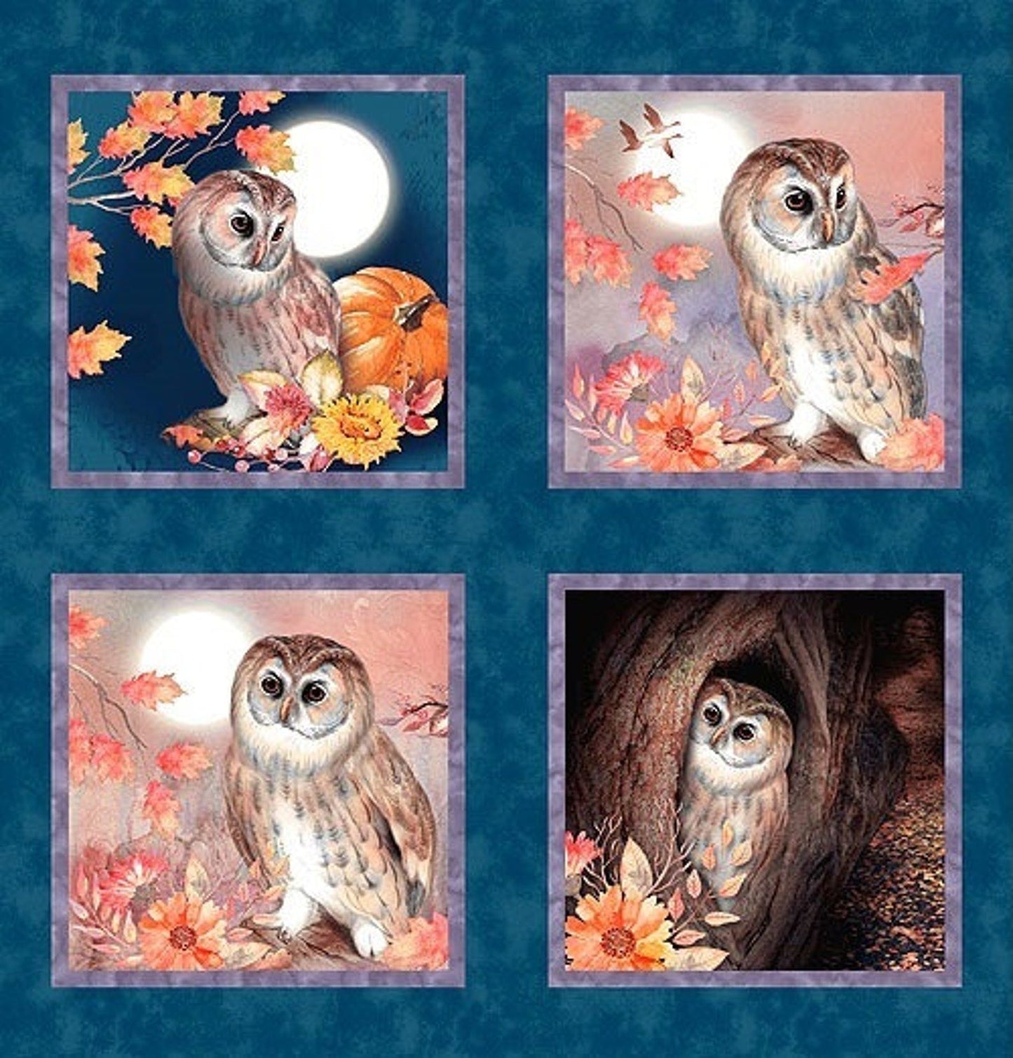 Studio E - Noctambules - Kathleen Francour - Panel