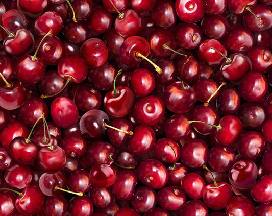 Timeless Treasures- Fruit CD1372- Cherries