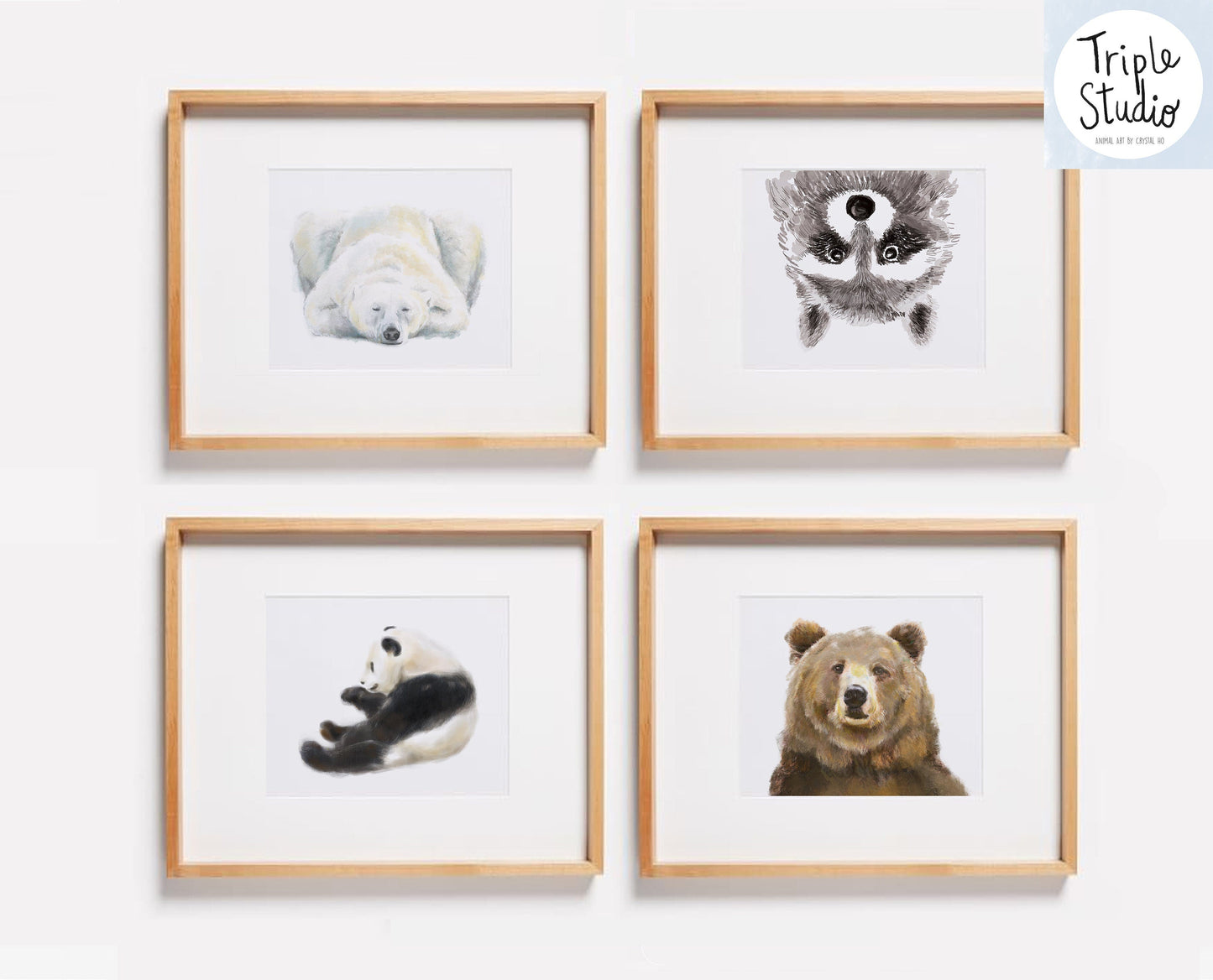 Raccoon Art Print