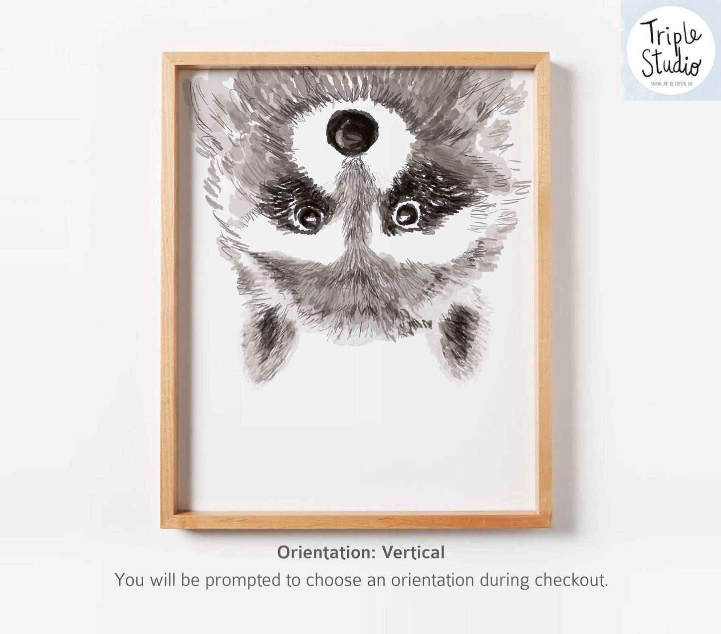 Raccoon Art Print