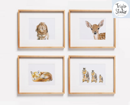 Squirrel Art Print