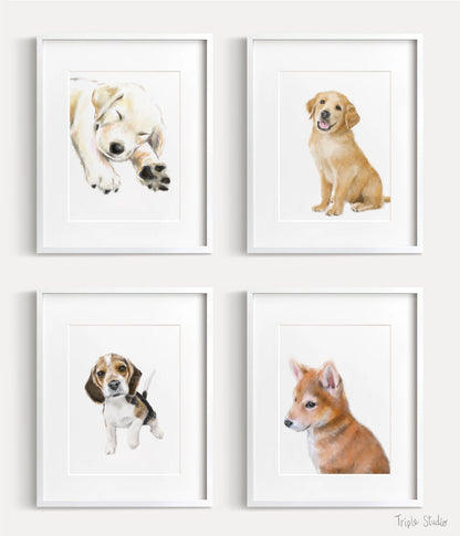 Shiba Inu Puppy Dog Art Print: Original Watercolor Painting
