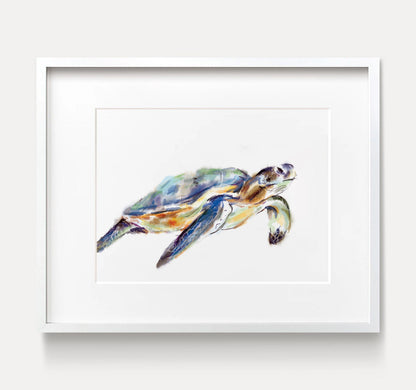 Turtle Art Print