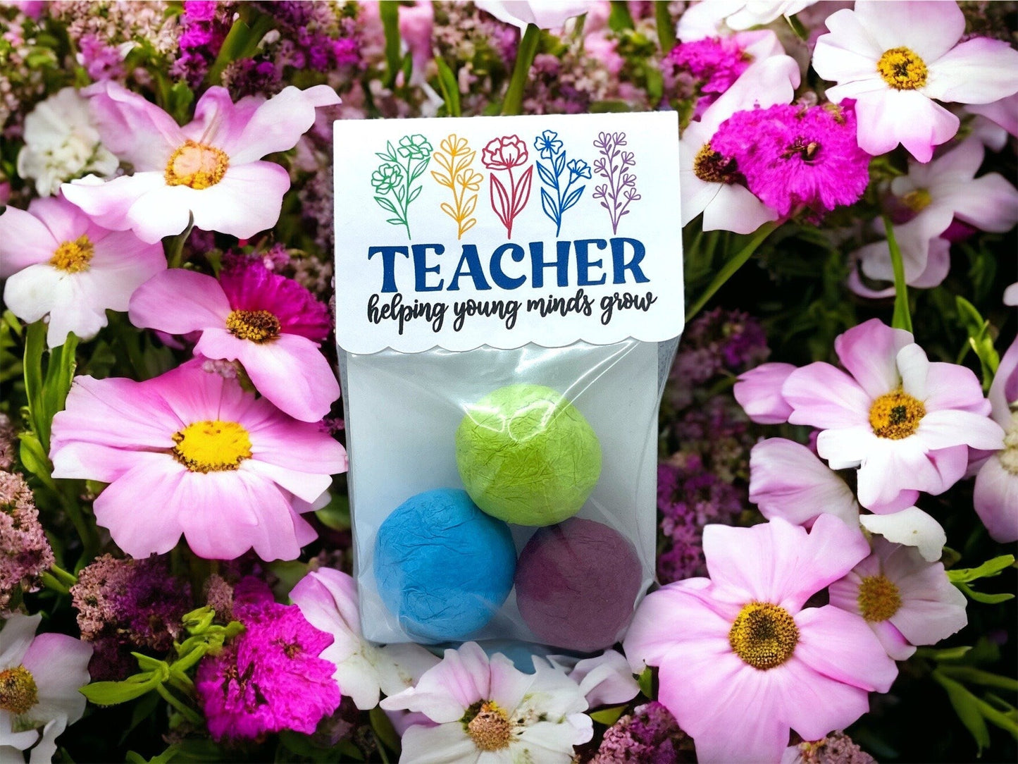 Bombes à graines - Paquet de 3 - Cadeau de remerciement pour professeur - Fleurs sauvages canadiennes