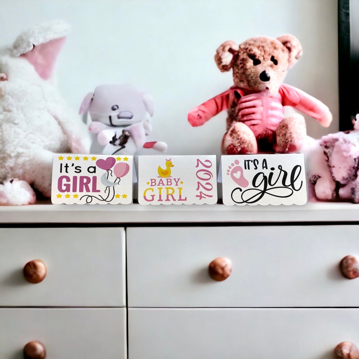 Bombes à graines - Paquet de 3 - Annonce de bébé fille ou bébé garçon ou jumeaux pour fête prénatale ou fête de révélation du sexe - Fleur sauvage canadienne